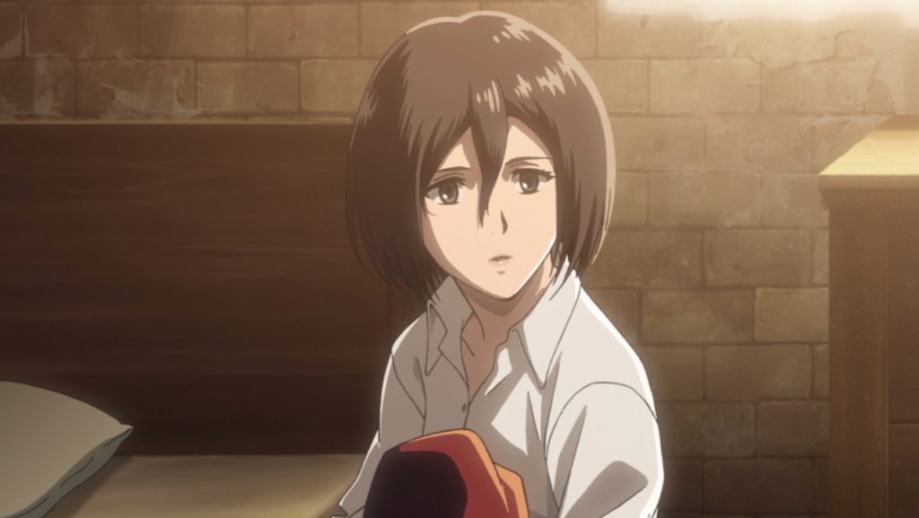 A still image of the character Mikasa Ackerman on the anime show, Attack of Titan.