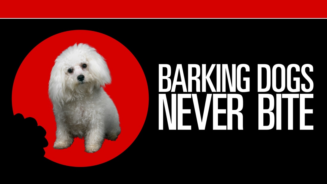 Title art for Barking Dogs Never Bite featuring a small white, fluffy dog.
