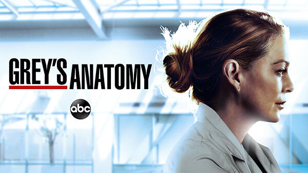 Title art for ABC hit medical drama Grey's Anatomy